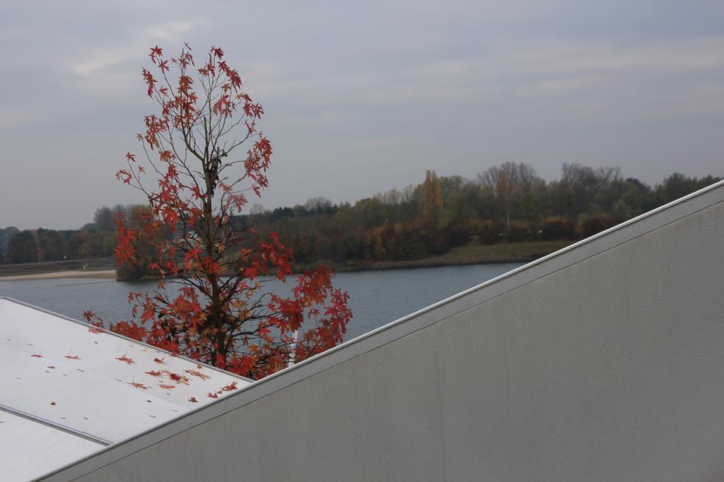 Sailcenter Limburg Hostel Kinrooi Zewnętrze zdjęcie